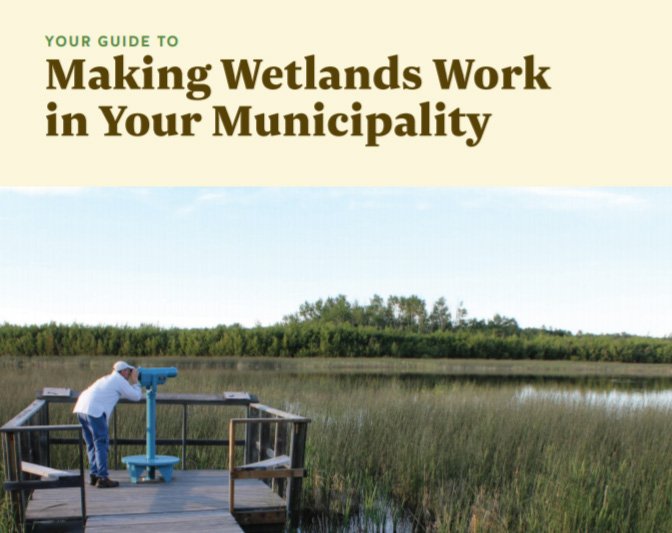 Making Wetlands Work in Your Municipality